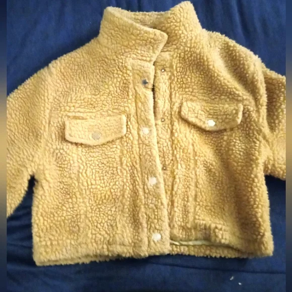 Zaful Jackets Coats Teddy Cropped Fluffy Jacket Nude Poshmark